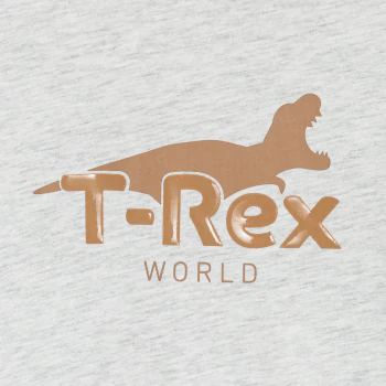 T-shirt manches longues motif dinosaure gris Garçon