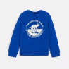 Sweat-shirt motif dinosaure bleu Garçon