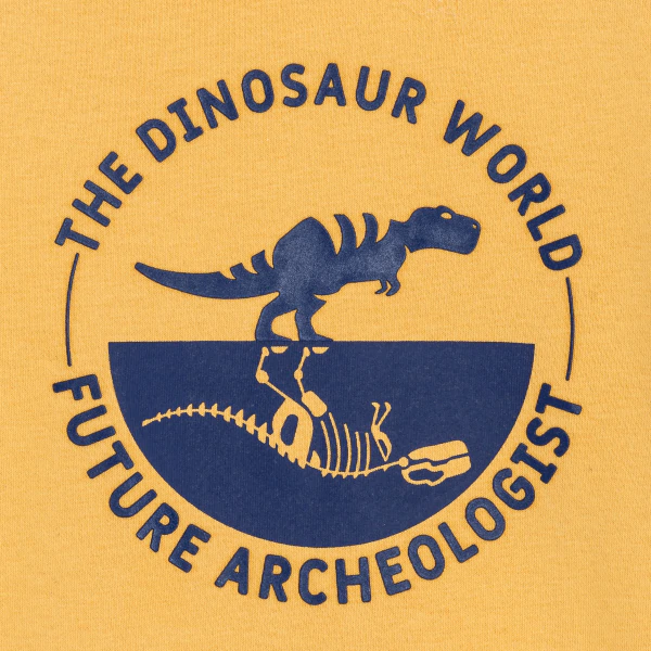 Sweat-shirt motif dinosaure jaune Garçon