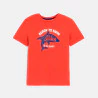 T-shirt manches courtes motif requin orange Garçon