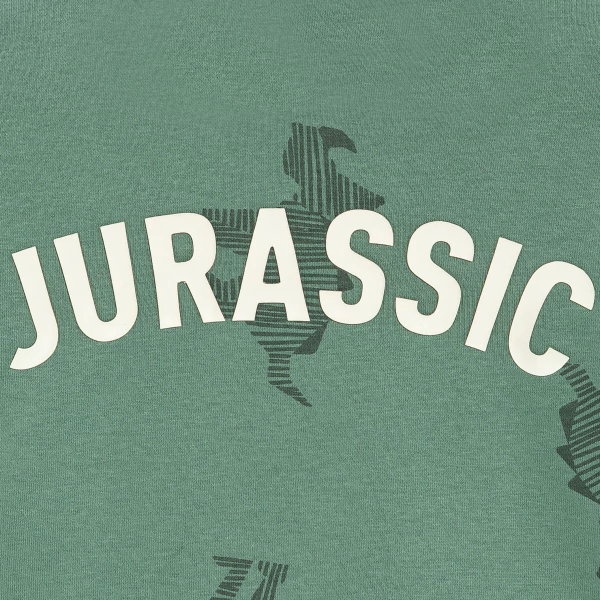 Sweat-shirt imprimé dinosaures vert Garçon
