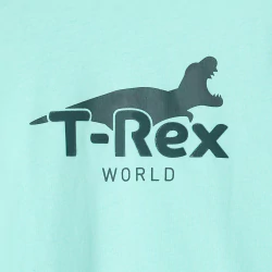 T-shirt motif dinosaure...