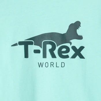 T-shirt motif dinosaure bleu Garçon
