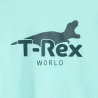 T-shirt motif dinosaure bleu Garçon