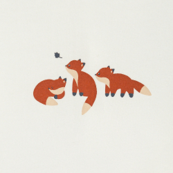 Body renards marron bébé...