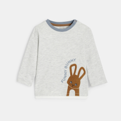 تيشيرت بأكمام طويلة، رمادي اللون، عليه صورة أرنب، للصبي الصغير