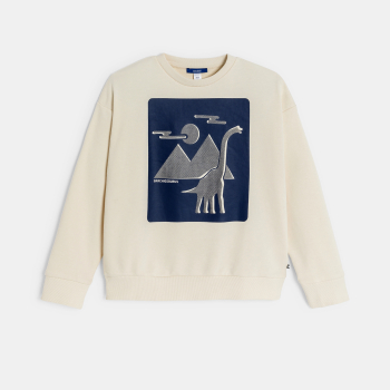 Sweat-shirt dinosaure garçon
