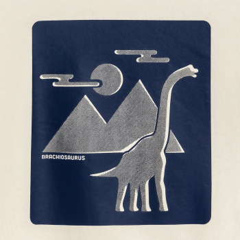 Sweat-shirt dinosaure garçon