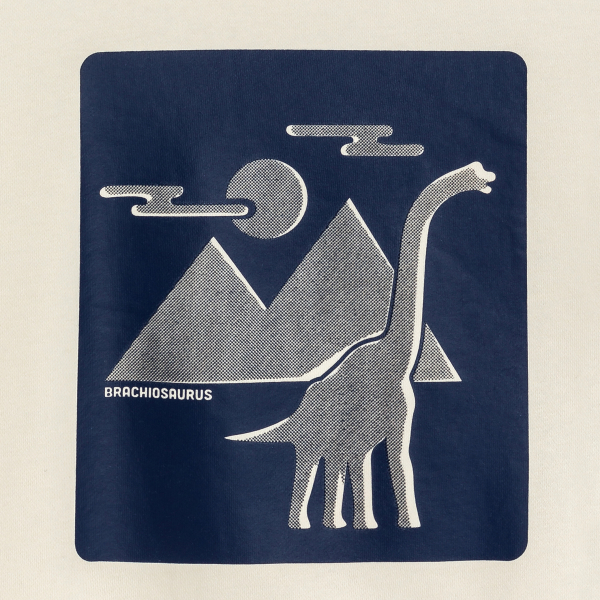 Sweat-shirt dinosaure garçon Sweat-shirt dinosaure garçon