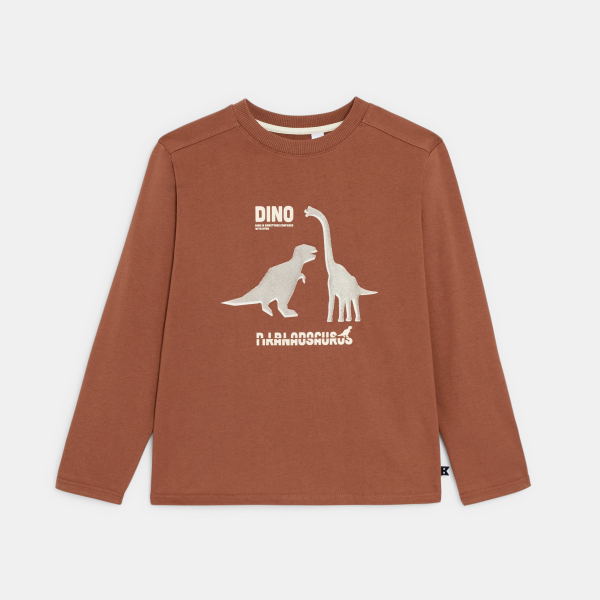 T-shirt manches longues dinosaure marron Garçon T-shirt manches longues dinosaure marron Garçon