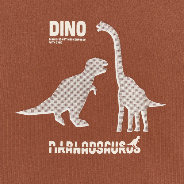 T-shirt manches longues dinosaure marron Garçon T-shirt manches longues dinosaure marron Garçon