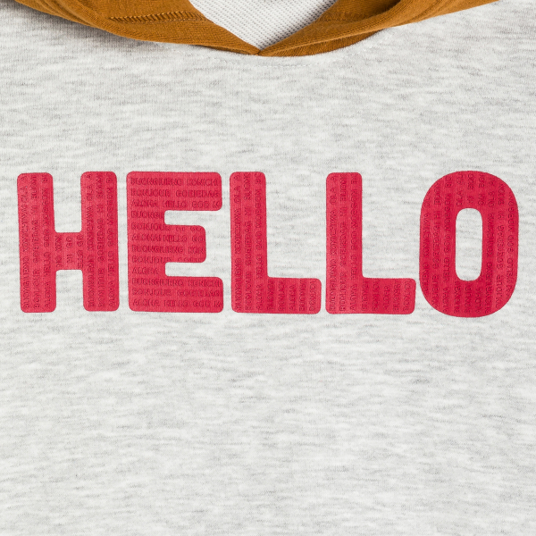 سويت شيرت بغطاء رأس باللون الرمادي للأولاد. سويت شيرت بغطاء رأس باللون الرمادي للأولاد.