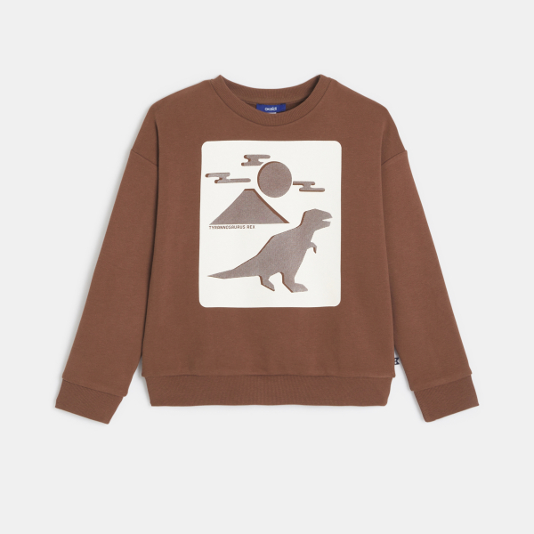 Sweat-shirt motif dinosaure marron Garçon Sweat-shirt motif dinosaure marron Garçon