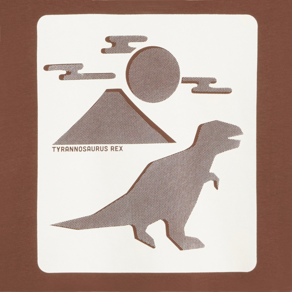 Sweat-shirt motif dinosaure marron Garçon Sweat-shirt motif dinosaure marron Garçon