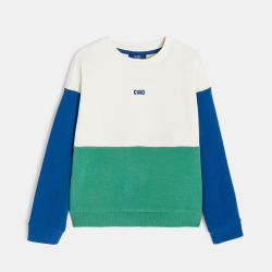 Sweat-shirt colorblock en...