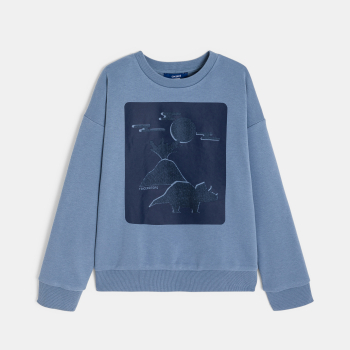 Sweat-shirt motif dinosaure bleu Garçon