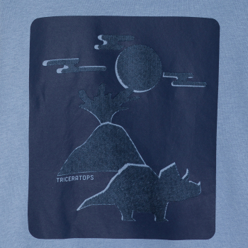 Sweat-shirt motif dinosaure bleu Garçon