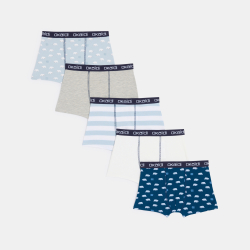 Lot de 5 boxers en jersey Garçon