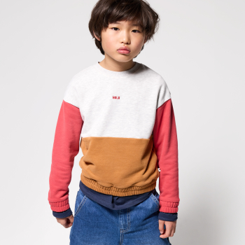 Sweat-shirt garçon gris