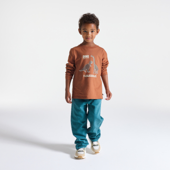 T-shirt manches longues dinosaure marron Garçon