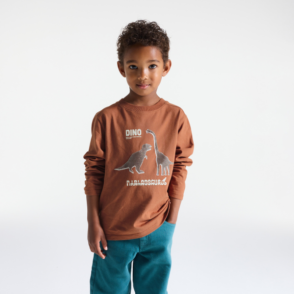 T-shirt manches longues dinosaure marron Garçon T-shirt manches longues dinosaure marron Garçon