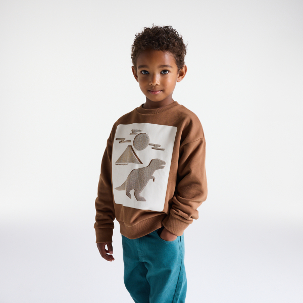Sweat-shirt motif dinosaure marron Garçon Sweat-shirt motif dinosaure marron Garçon