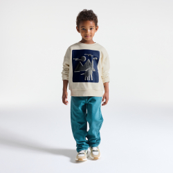 Sweat-shirt dinosaure garçon