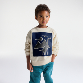 Sweat-shirt dinosaure garçon