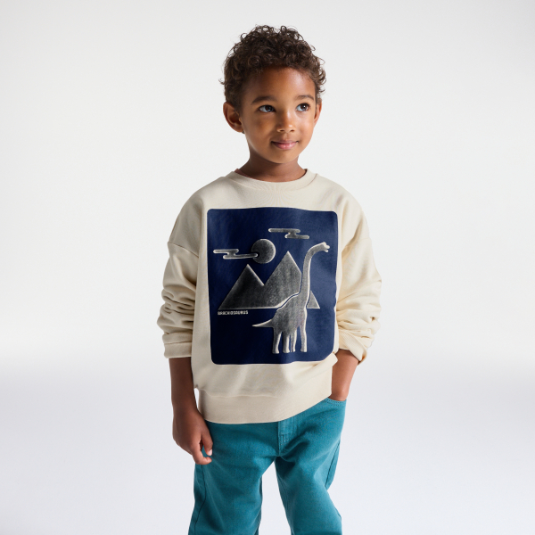 Sweat-shirt dinosaure garçon Sweat-shirt dinosaure garçon