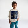 Sweat-shirt dinosaure garçon Sweat-shirt dinosaure garçon