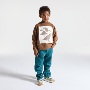 Sweat-shirt motif dinosaure marron Garçon