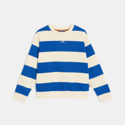Sweat-shirt rayé bleu Garçon