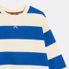 Sweat-shirt rayé bleu Garçon